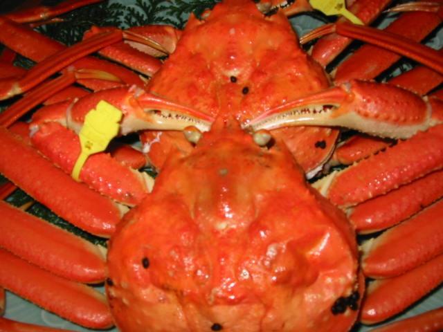 Отель Umi No Yado Sahei Фукуи Экстерьер фото